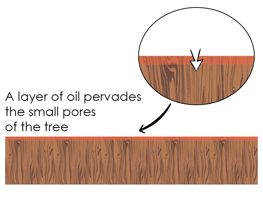 wood varnish features